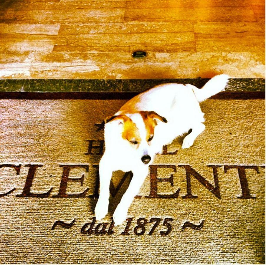 Hotel Clementi Salice Terme Ngoại thất bức ảnh